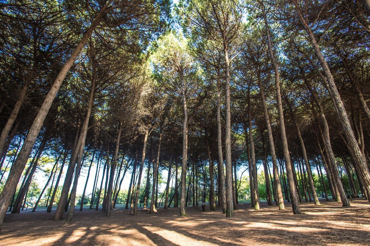 Hotel Garden Milano Marittima Exterior foto